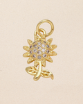 Charm: Number 78