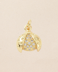 Charm: Number 21